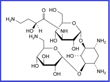 AMIKACIN EP IMPURITY C